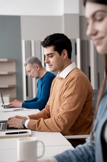 Python development project preview