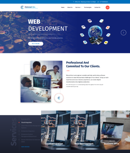 Concapt Inc website case study preview