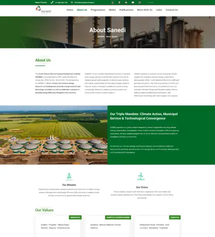 SANEDI website case study preview