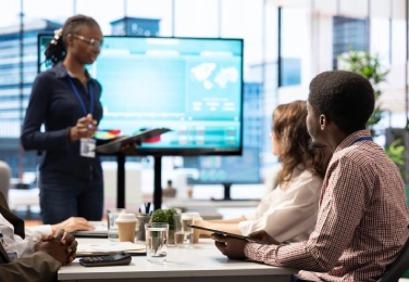 IT consultancy session